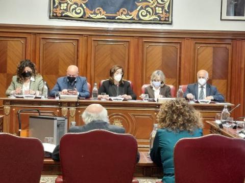 Pleno Ordinario febrero 2022