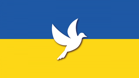 ukraine-gc54ffa092_640.png