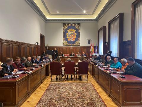 Un momento del pleno extraordinario.jpg