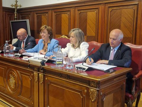 Un momento del pleno celebrado esta mañana.jpeg