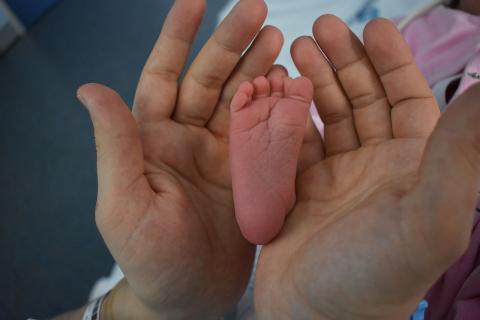 Ayudas a la natalidad.jpg