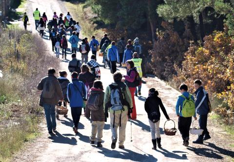 Salida campo jornada micológica