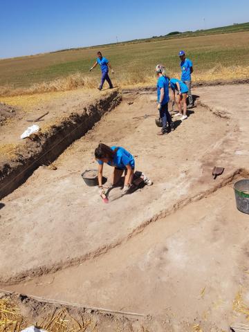 Intercatia. Paredes de Nava
