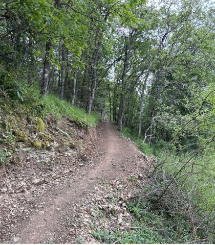 Valdecastro_4_1 _modif.jpg