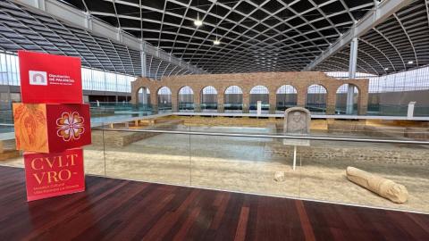 Culturo en la Olmeda