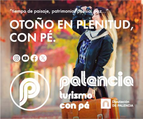 imagen palencia