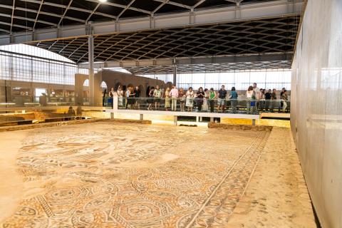 Villa Romana La Olmeda 