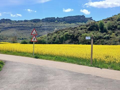 Actuación de movilidad sostenible.jpg