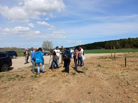 Plantación Bosque Modelo de Palencia.jpeg