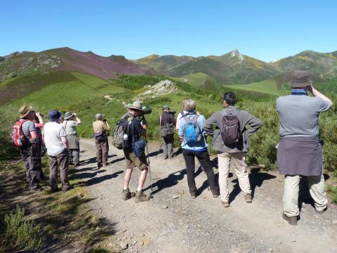 GRUPO DE BRITANICOS HACIENDO OBSERVACION DE LOBOS .JPG