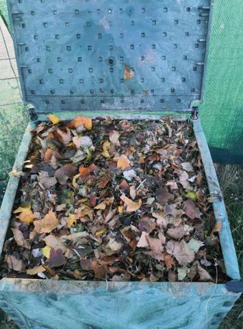 Interior compostero doméstico programa 'Residuo cero'.jpg