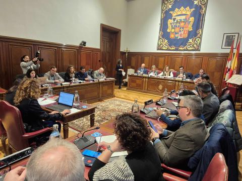 Un momento de la sesión plenaria correspondiente al mes de enero.jpg