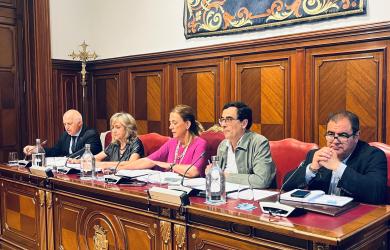 Pleno Diputación de Palencia