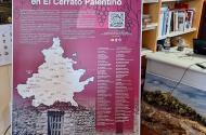 enoturismo-cerrato-palentino-