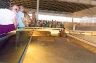 foto Olmeda. Visitas