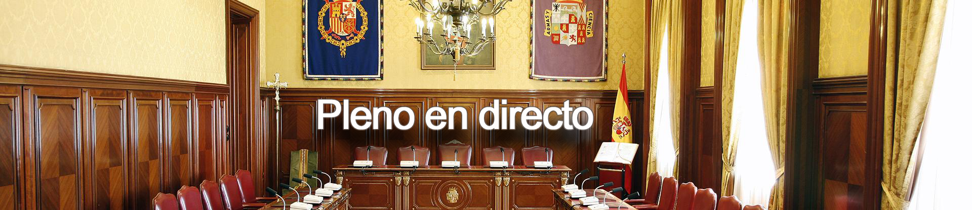 Pleno en directo - Novedad