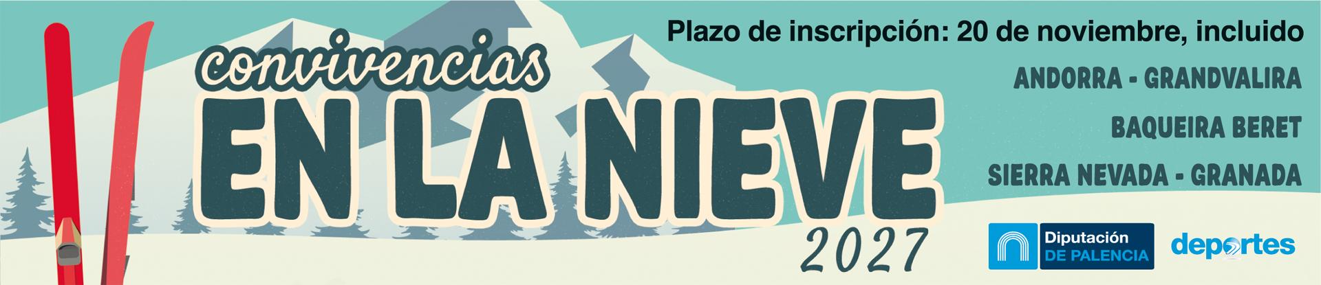 banner nieve